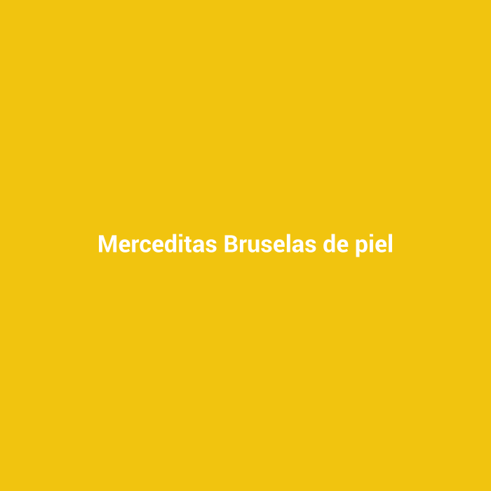 Merceditas Bruselas de piel