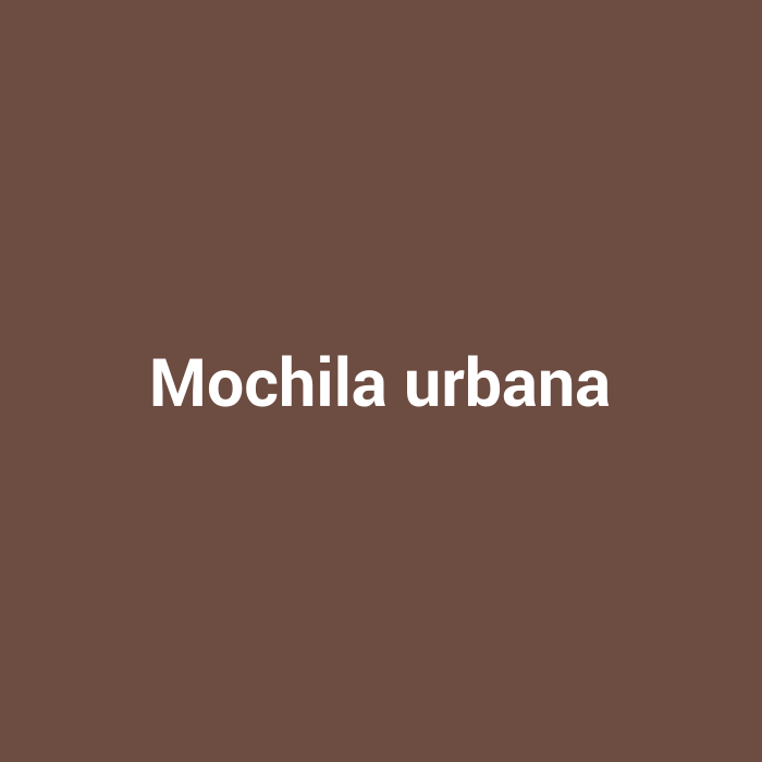 Mochila urbana