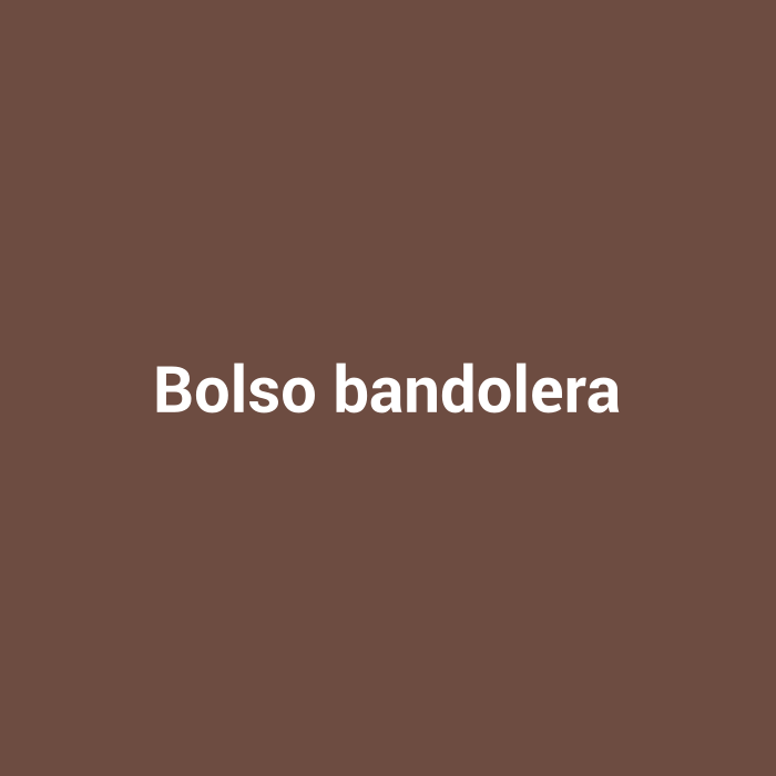 Bolso bandolera