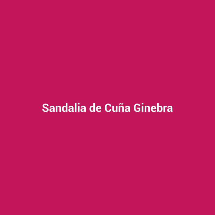Sandalia de Cuña Ginebra