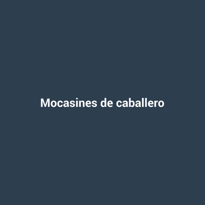 Mocasines de caballero