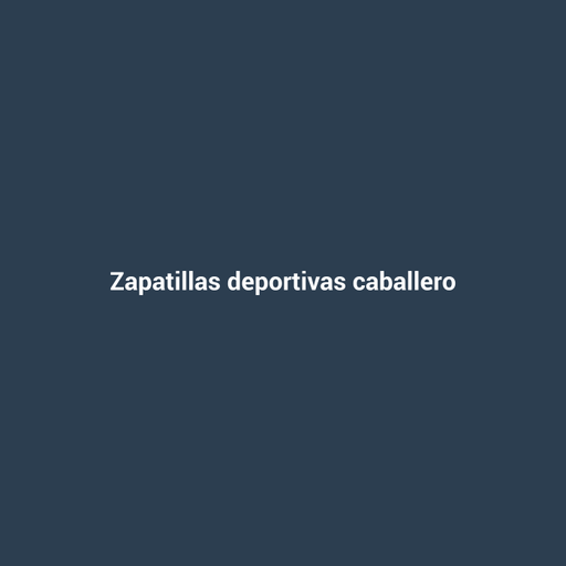 Zapatillas deportivas caballero